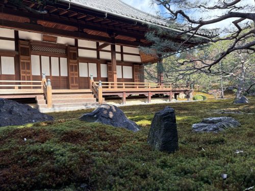 写真-2026-01-31-12-31-09