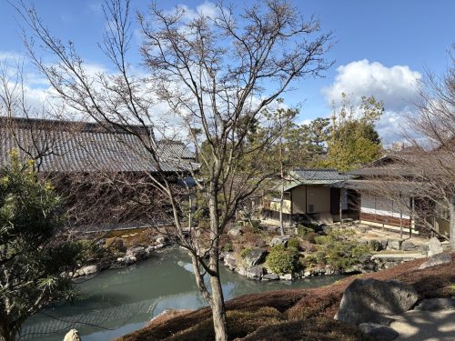 写真-2026-01-31-12-33-45