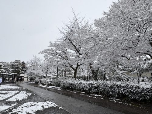 写真-2026-02-08-11-43-59