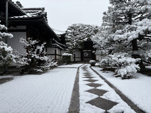 写真-2026-02-08-11-47-03