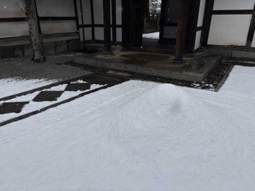 写真-2026-02-08-11-48-17