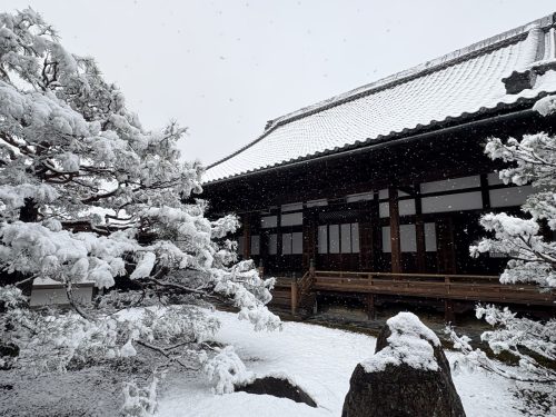 写真-2026-02-08-11-50-40