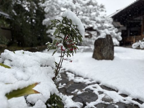 写真-2026-02-08-11-51-26