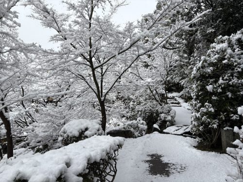 写真-2026-02-08-11-52-51