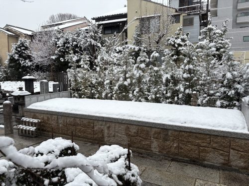 写真-2026-02-08-12-01-53