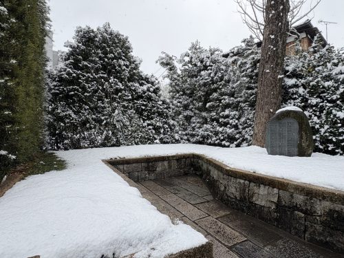 写真-2026-02-08-12-02-55