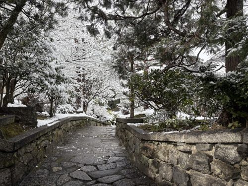 写真-2026-02-08-12-07-07