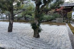 2026年1～2月_両足院