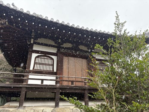 写真-2026-01-20-14-00-50