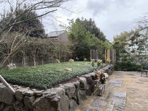 写真-2026-01-20-14-04-39