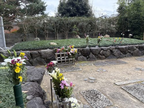 写真-2026-01-20-14-15-31