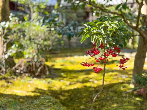 写真-2026-01-23-12-17-41