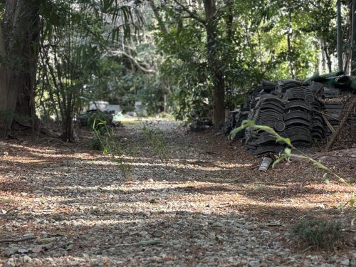 写真-2026-01-23-12-47-30