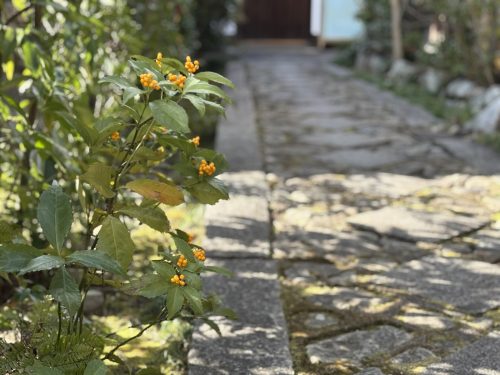 写真-2026-01-23-12-50-30