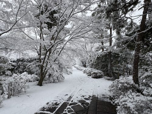 写真-2026-02-08-10-42-18