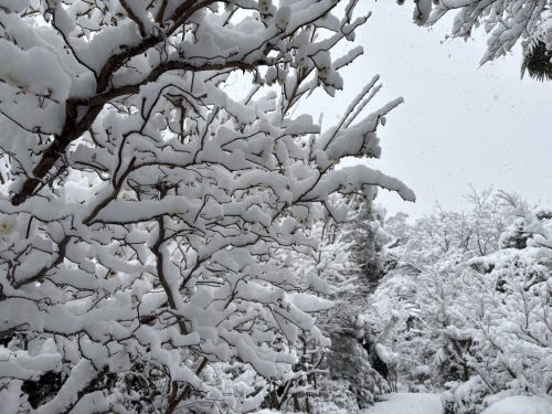 写真-2026-02-08-10-44-16