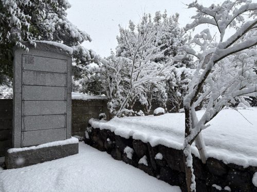 写真-2026-02-08-10-53-49