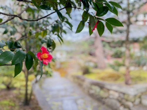 写真-2026-03-06-9-31-06