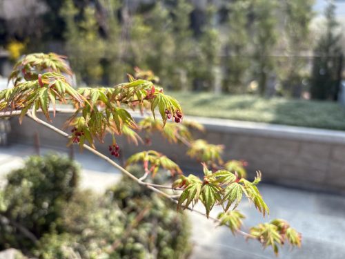 写真-2026-03-29-9-57-28