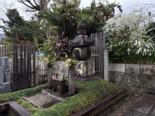 写真-2026-04-01-11-29-38
