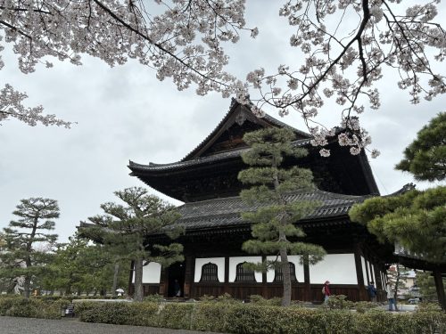写真-2026-04-01-11-43-03