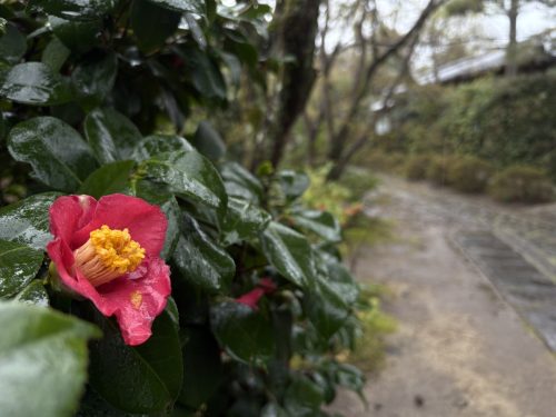 写真-2026-03-31-12-53-23