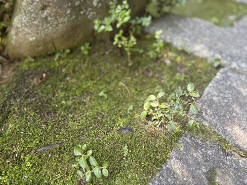 写真-2026-04-08-12-50-24