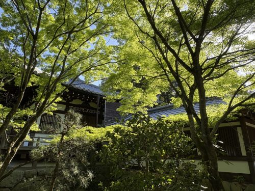 写真-2026-04-16-15-44-26