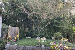 2026年3～4月_正受院
