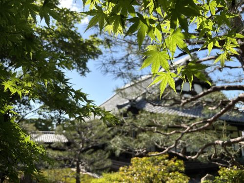 写真-2026-05-11-15-01-18