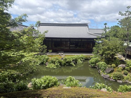 写真-2026-06-03-11-34-15