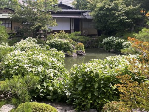 写真-2026-06-18-9-37-58
