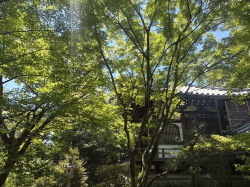 写真-2026-05-05-11-01-57