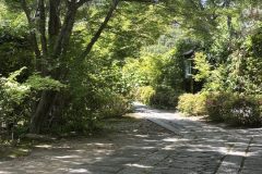 2026年5～6月 新緑の正受院