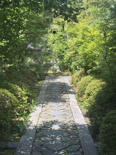 写真-2026-05-29-10-09-30