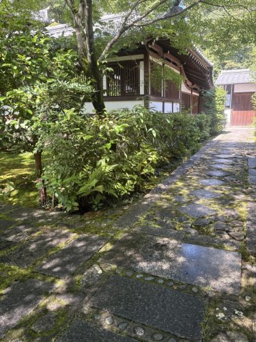 写真-2026-06-21-9-23-59