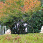 大徳寺の正受院の樹木葬地のアップ