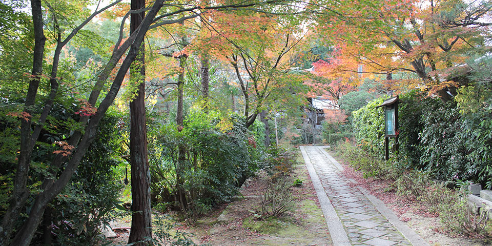 大徳寺の正受院の山道