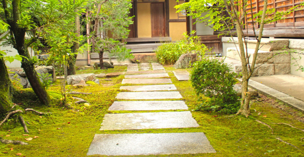 topbig07 正覚庵の茶室への路