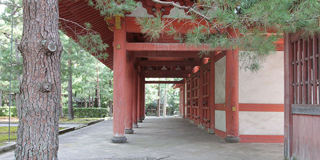 9月29日の正受院での樹木葬セミナーの日の大徳寺