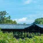 東福寺の臥雲橋からの眺め