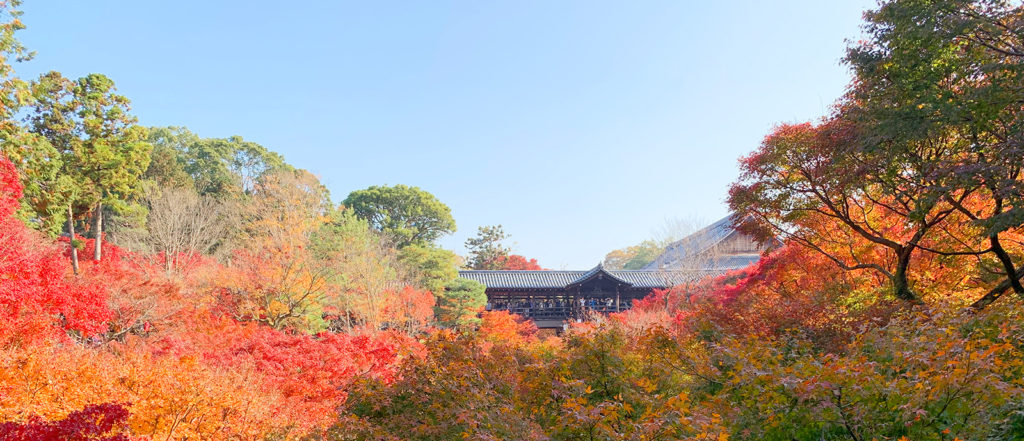 東福寺の臥雲橋からの眺め紅葉バージョン
