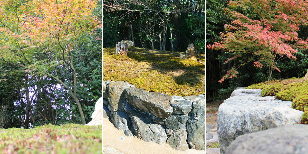 about-daitokuji 大徳寺の樹木葬のイメージ風景