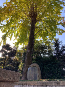 樹木葬の見学案内の一風景