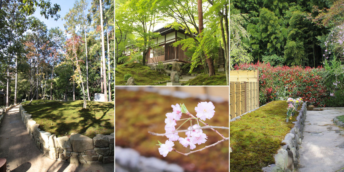 about-tohukuji03 東福寺の樹木葬のイメージ風景