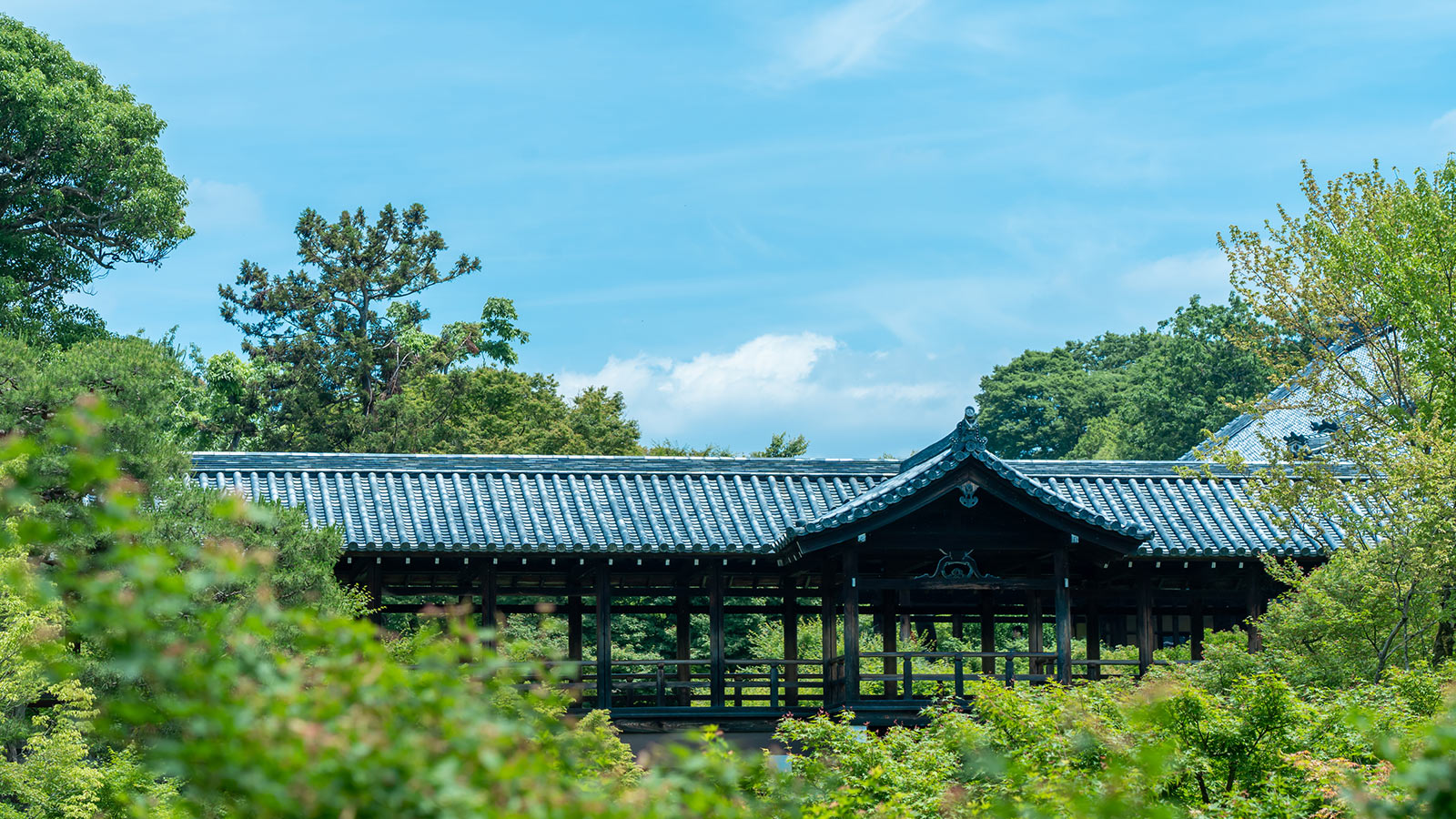 東福寺の臥雲橋からの眺め
