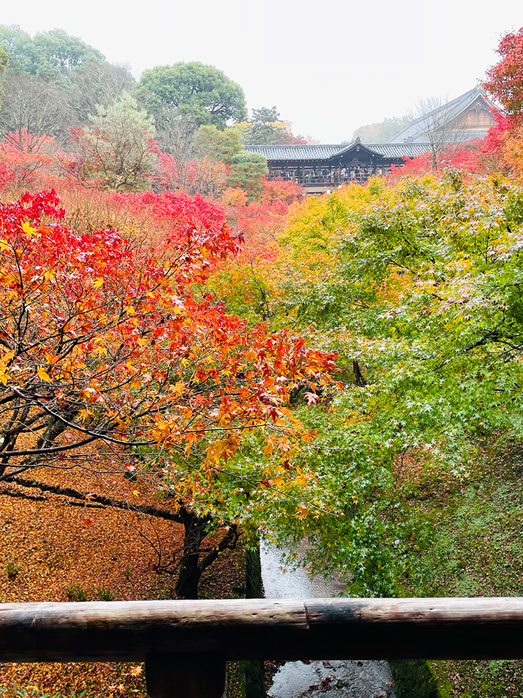 東福寺-紅葉