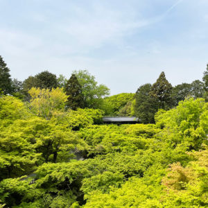 東福寺-通天橋